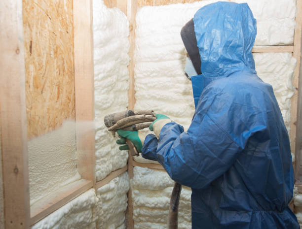 Best Spray Foam Insulation  in Lanster, CA